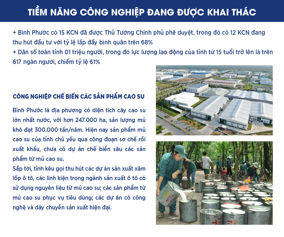 tiem-nang-kinh-te-binh-phuoc