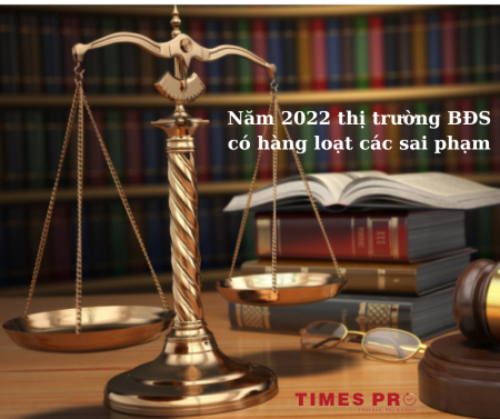 Nhìn lại thị trường bất động sản năm 2022: Một năm với hàng loạt sai phạm trong lĩnh vực bất động sản 