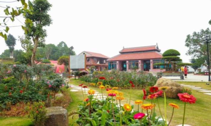 Times Pro - BĐS uy tín hàng đầu