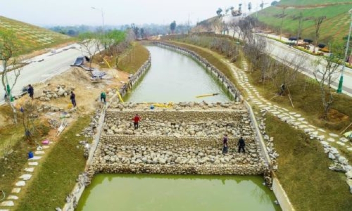 Times Pro - BĐS uy tín hàng đầu