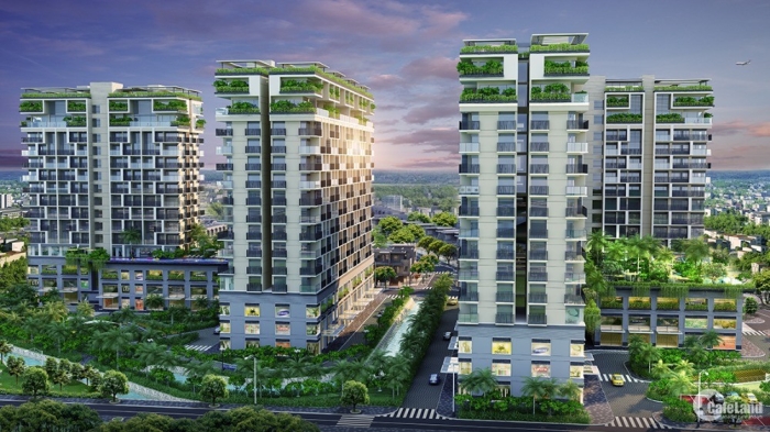 Times Pro - BĐS uy tín hàng đầu