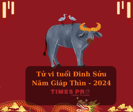 Năm giáp thìn 2024 tuổi Đinh Sửu có hợp mua - đầu tư nhà đất không?