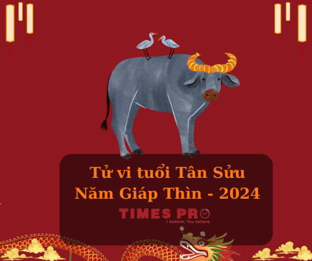 Năm giáp thìn 2024 tuổi Tân Sửu có hợp mua - đầu tư nhà đất không?