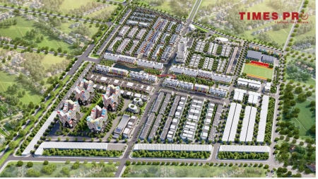 Times Pro - BĐS uy tín hàng đầu