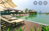 Times Pro - BĐS uy tín hàng đầu