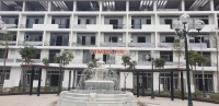 Times Pro - BĐS uy tín hàng đầu