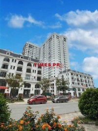 Times Pro - BĐS uy tín hàng đầu
