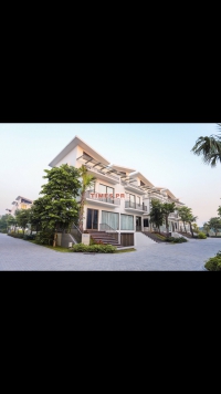 Times Pro - BĐS uy tín hàng đầu