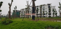 Times Pro - BĐS uy tín hàng đầu