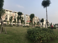 Times Pro - BĐS uy tín hàng đầu