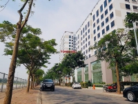Times Pro - BĐS uy tín hàng đầu