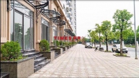Times Pro - BĐS uy tín hàng đầu