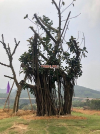 Times Pro - BĐS uy tín hàng đầu