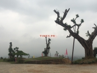 Times Pro - BĐS uy tín hàng đầu