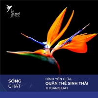 Times Pro - BĐS uy tín hàng đầu