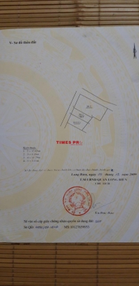 Times Pro - BĐS uy tín hàng đầu