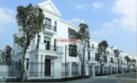 Times Pro - BĐS uy tín hàng đầu