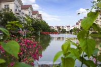 Times Pro - BĐS uy tín hàng đầu