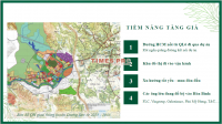 Times Pro - BĐS uy tín hàng đầu