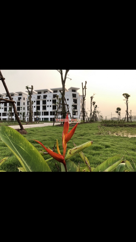 BÁN CĂN SHOPHOUSE SUẤT NGOẠI GIAO VIEW HỒ RẤT ĐẸP DỰ ÁN KHAI SƠN CITY LONG BIÊN. 0944.111.223