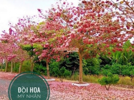 ĐIỀU SIÊU KHỦNG TẠI DỰ ÁN HÒA BÌNH