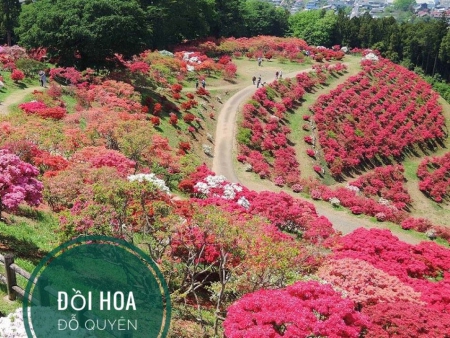THỜI ĐIỂM NÀY CHỌN BIỆT THỰ VEN ĐÔ Ở ĐÂU HỢP LÝ??