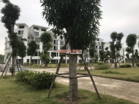 Times Pro - BĐS uy tín hàng đầu