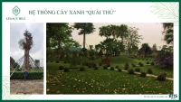 Times Pro - BĐS uy tín hàng đầu