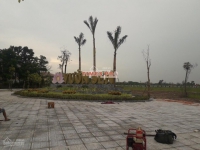 Times Pro - BĐS uy tín hàng đầu