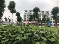 Times Pro - BĐS uy tín hàng đầu