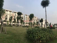 Times Pro - BĐS uy tín hàng đầu