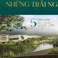 Times Pro - BĐS uy tín hàng đầu