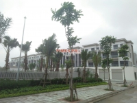 Times Pro - BĐS uy tín hàng đầu