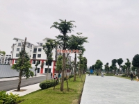 Times Pro - BĐS uy tín hàng đầu