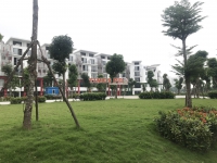 Times Pro - BĐS uy tín hàng đầu
