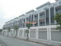 Times Pro - BĐS uy tín hàng đầu