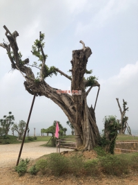 Times Pro - BĐS uy tín hàng đầu