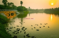 Times Pro - BĐS uy tín hàng đầu