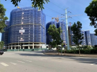 Times Pro - BĐS uy tín hàng đầu