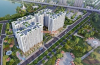 Times Pro - BĐS uy tín hàng đầu