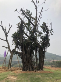 Times Pro - BĐS uy tín hàng đầu