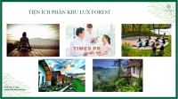 Times Pro - BĐS uy tín hàng đầu