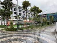 Times Pro - BĐS uy tín hàng đầu