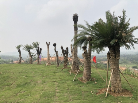 BỘ SƯU TẬP “QUÁI THÚ” CỦA AN THỊNH GROUP GÓP MẶT TẠI LEGACY HILL