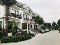 Times Pro - BĐS uy tín hàng đầu