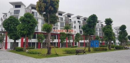DUNG BUI BÁN SHOPHOUSE KHAI SƠN 99.2M2 ĐÔNG NAM, MẶT TIỀN RỘNG 6.2M, GIÁ 11.3TỶ. LH: 0968966638