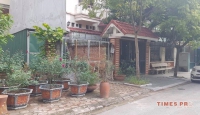 Times Pro - BĐS uy tín hàng đầu