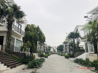 Times Pro - BĐS uy tín hàng đầu