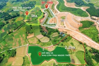 Times Pro - BĐS uy tín hàng đầu