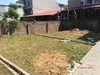 Times Pro - BĐS uy tín hàng đầu